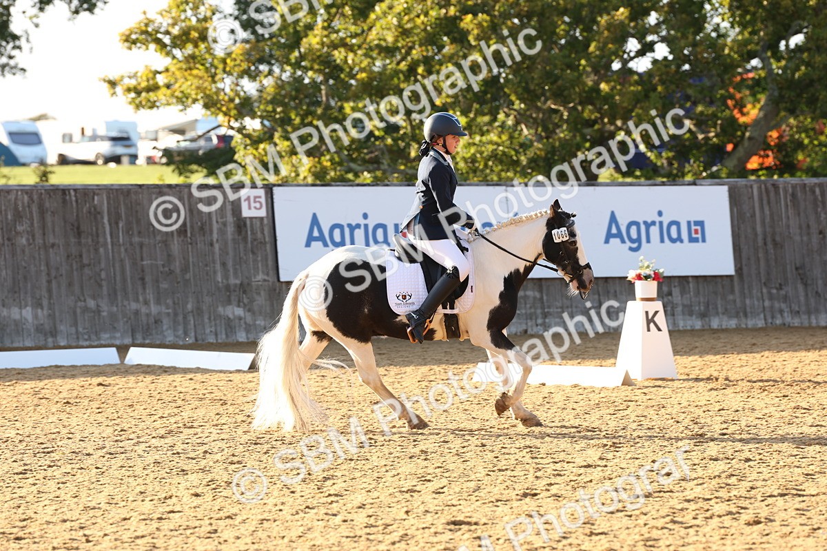 SBM_12729 - D9 - Small Tour Championship Prelim 3