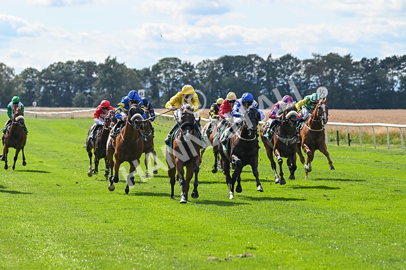 020825-Race 4-Moulin Booj-3106 - Race 4