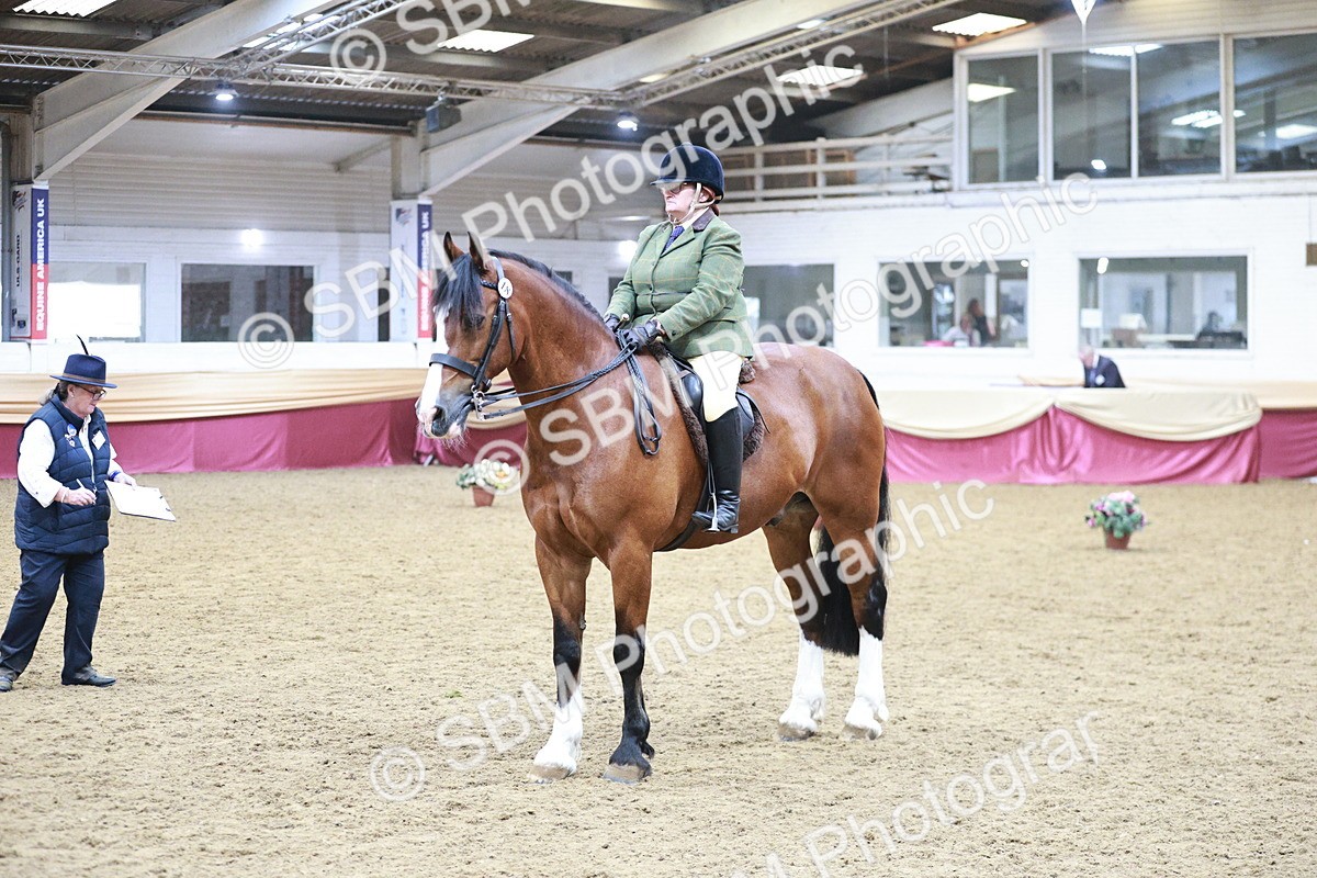 SBM_08932 - Class 12R - Regional Ridden Pre-Vet