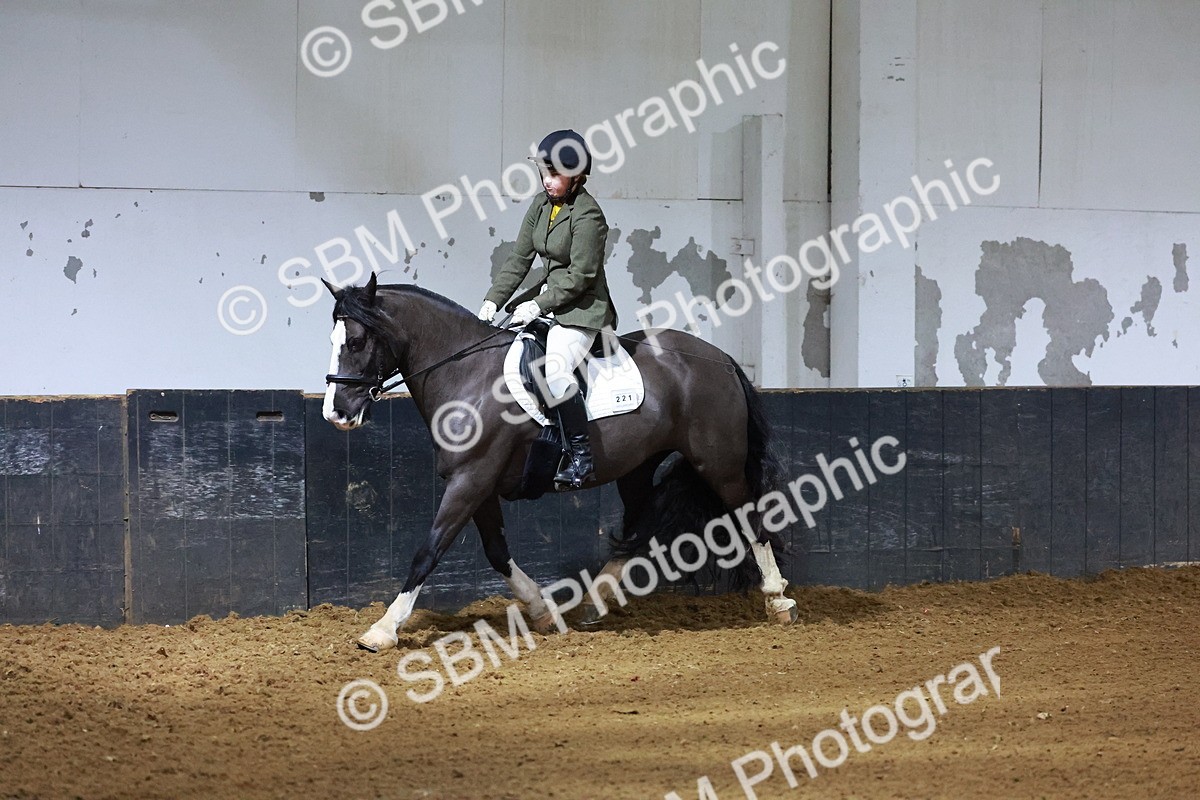 SBM_000232 - Prelim 2