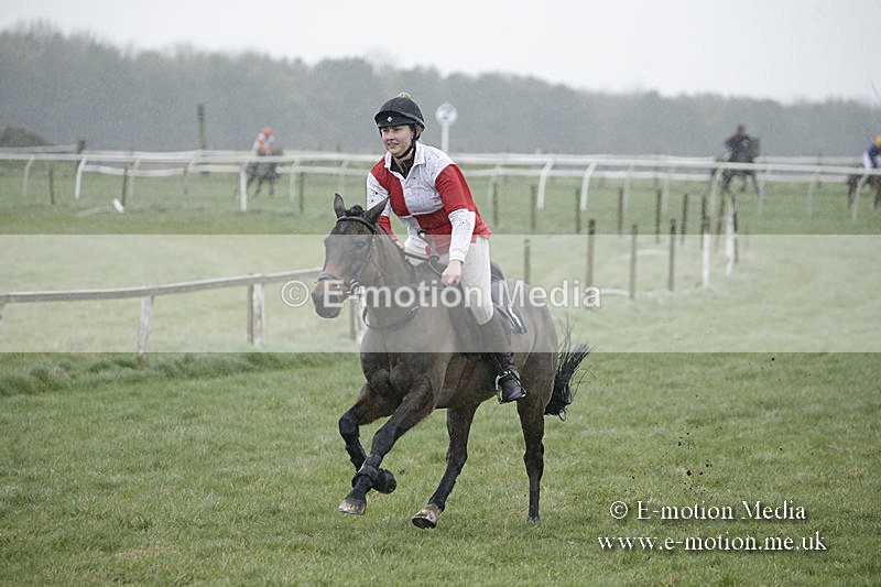 PtP 150320 0039 - New Forest Point-to-Point Larkhill 15/03/20