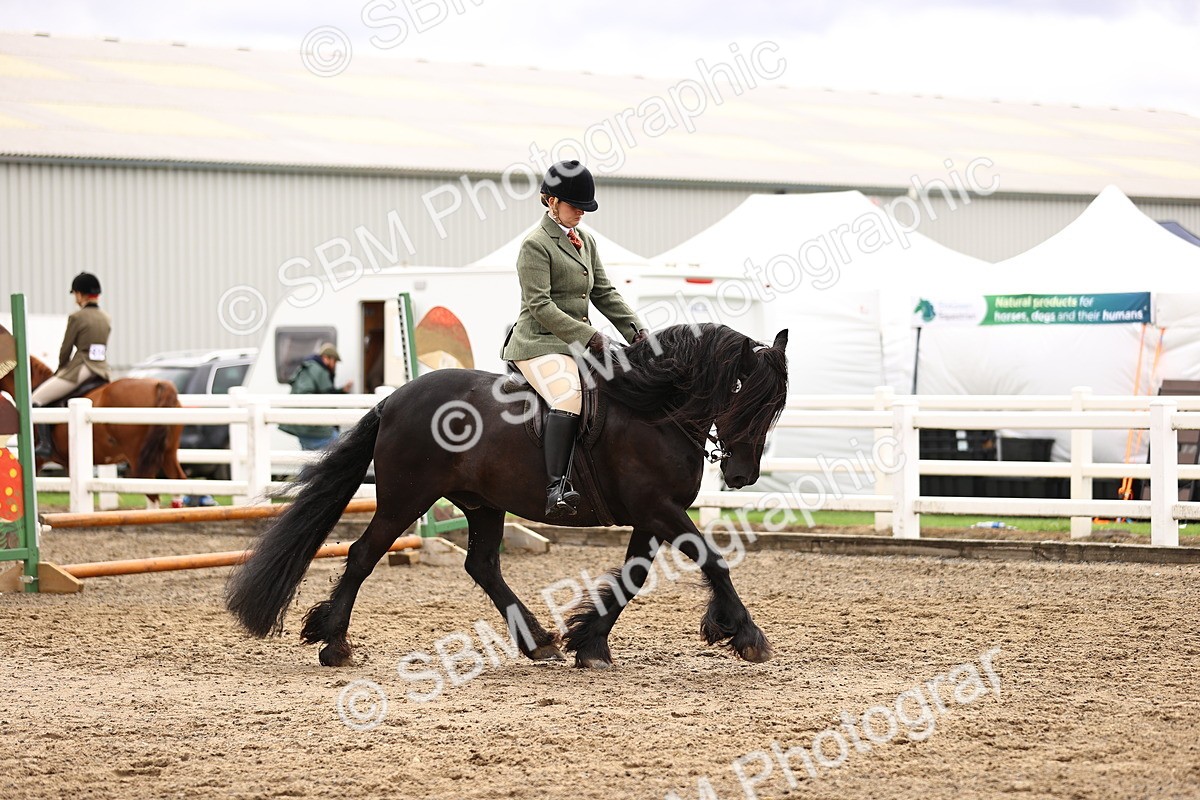 SBM_00544