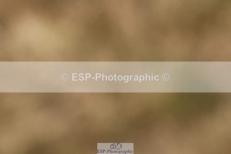 250823A-161330-33364 - PC80 Ride Off