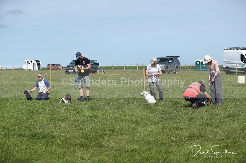SPXX0616 - Dog show