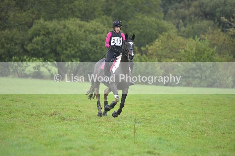 RAY_9527 - Class 2: 70cm: Corner