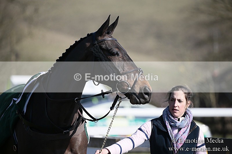 PtP 240218 191 - Vine & Craven Hunt Point-to-Point Barbury racecourse 24/02/18