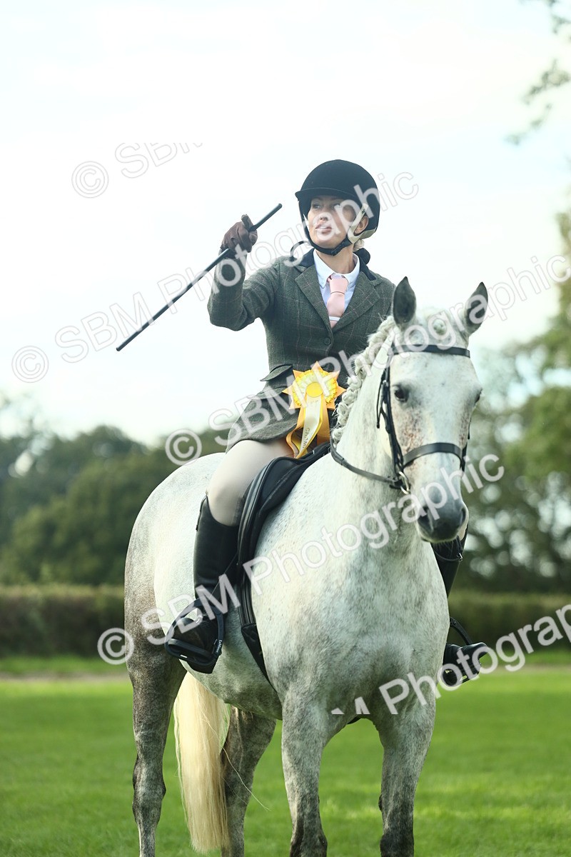 SBM_52228 - S33 - Working Hunter & Working Show Horse