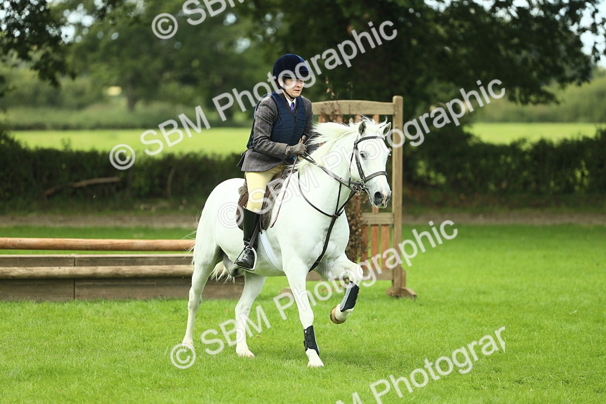 SBM_42802 - S30 - M&M Working hunter Pony