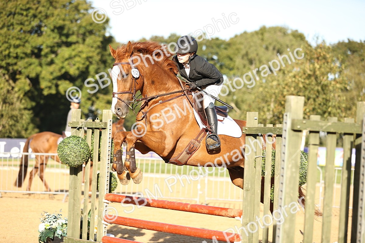 SBM_33165 - J38 - Senior 80cm Championship