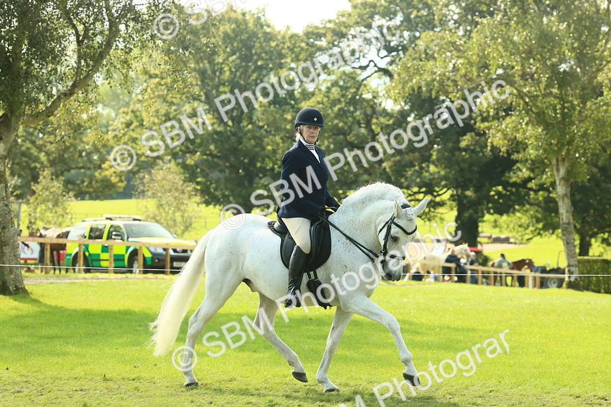 SBM_62453 - S62 - Foreign Breeds Ridden