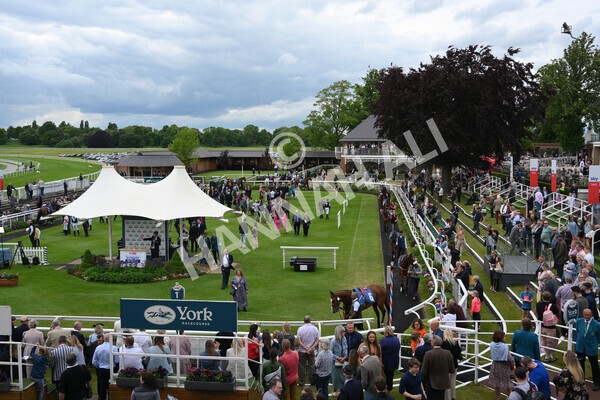 yr22052022r1-4 - Race 1: 3:30pm Sky Bet Sunday Series Apprentice Stakes