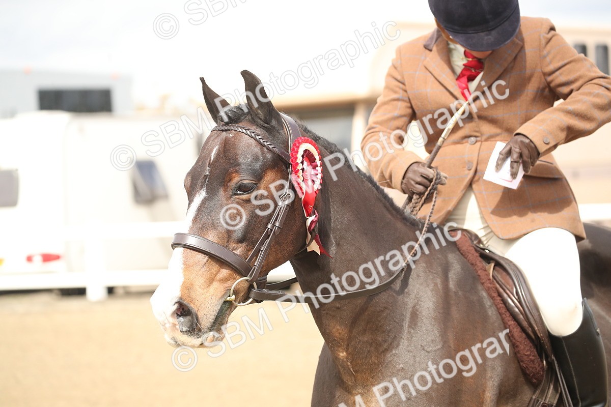 SBM_16553 - Class 506b - Working Veteran - 50cm (20+)