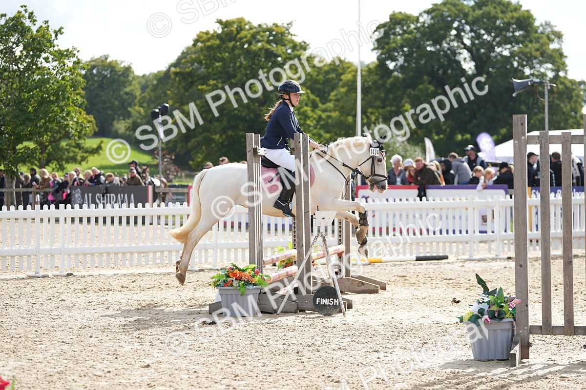 SBM_48528 - J7 - Junior Pony 60cm Championship