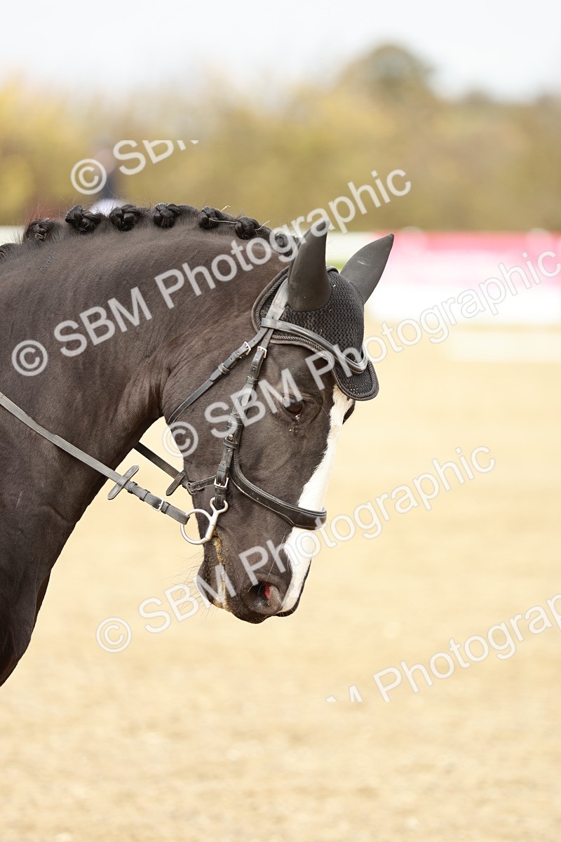 SBM_002088 - Class 6 - Prelim 2