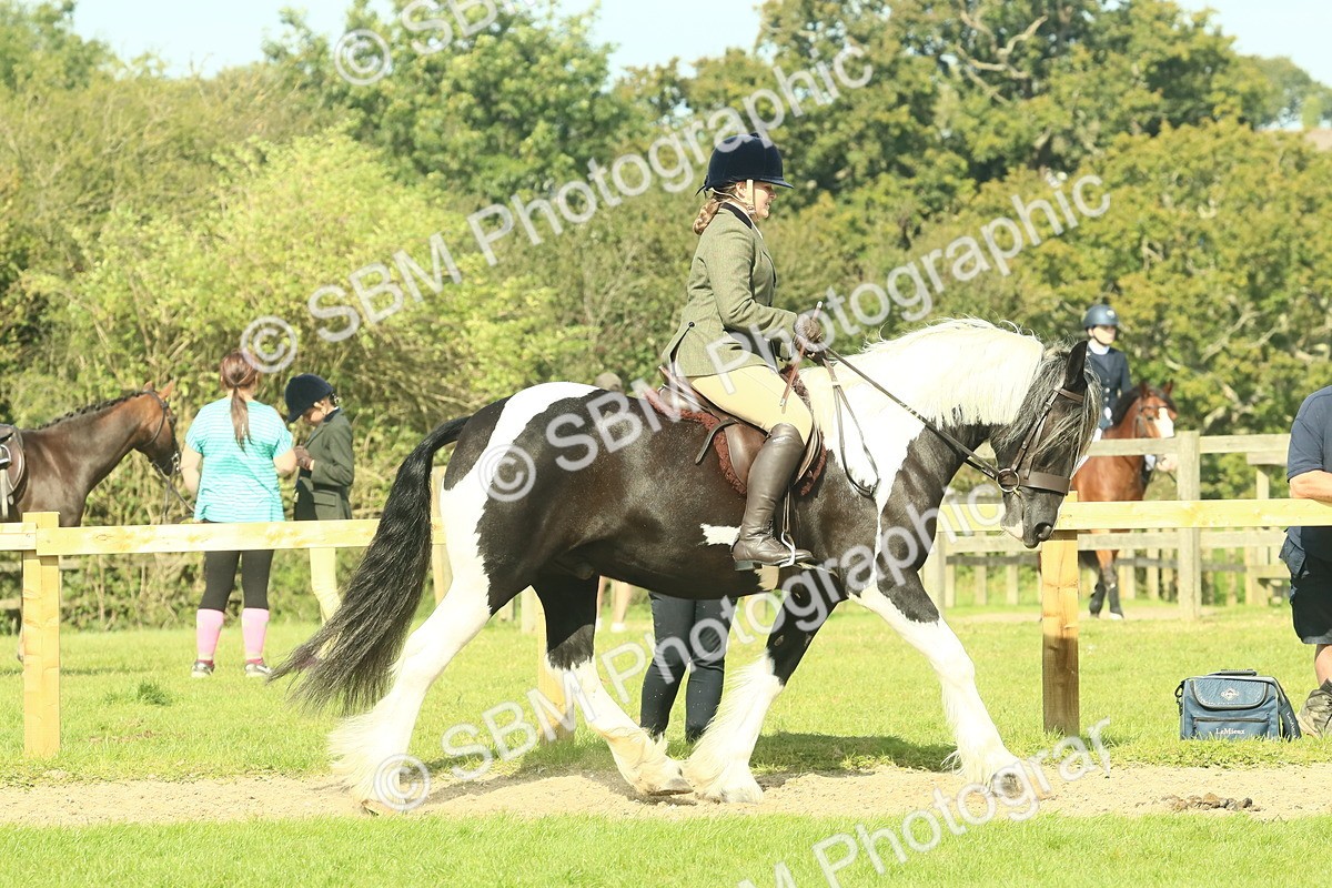 SBM_67432 - S56 - Coloured Pony Ridden