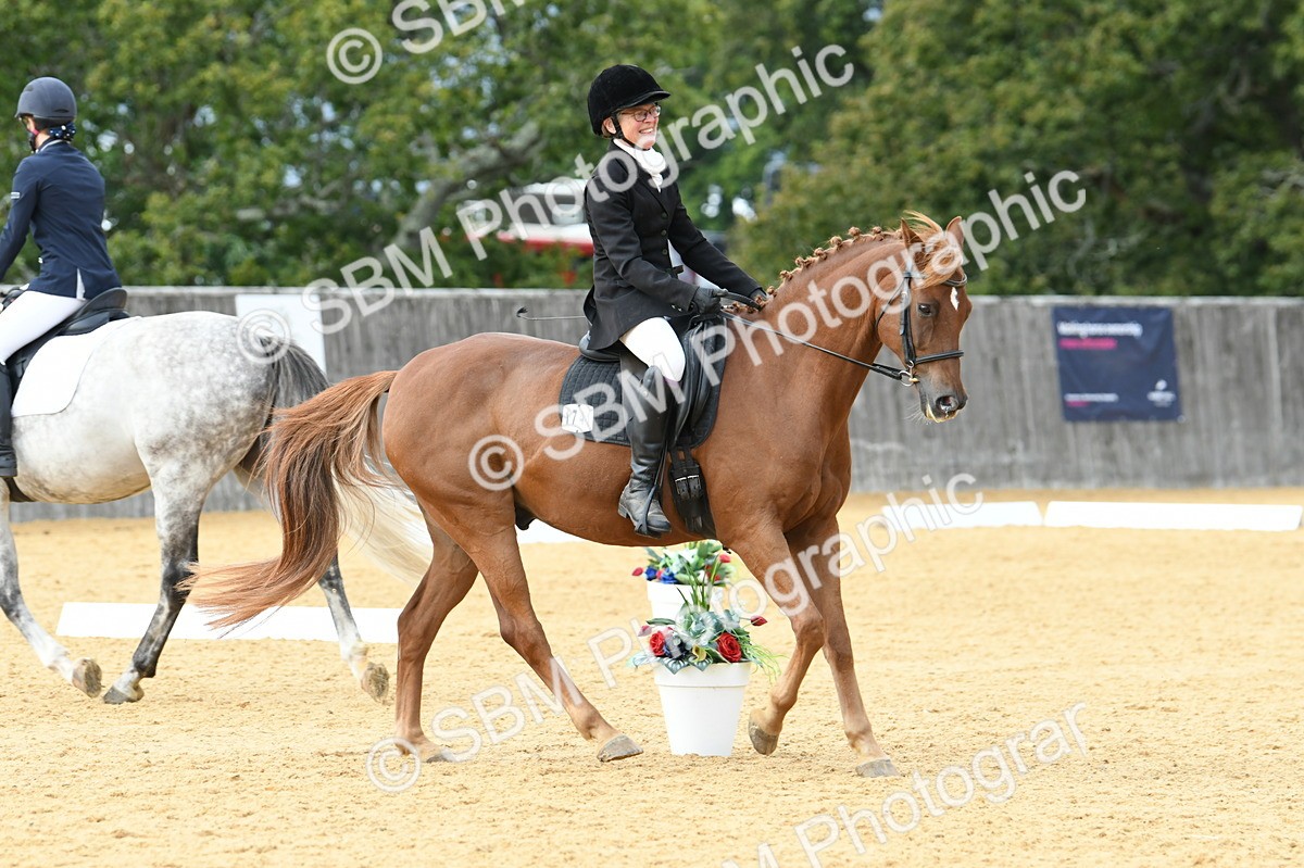 SBM_10964 - D28 Elementary Taster Elementary 42