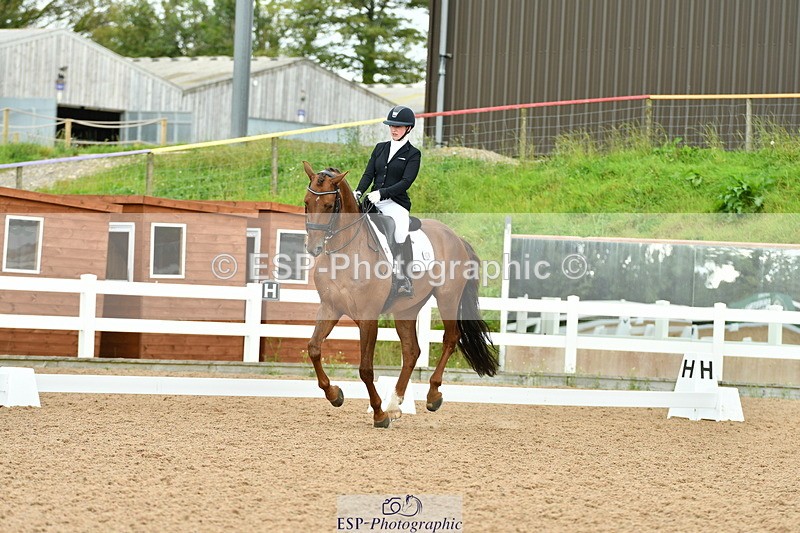 230912A-160230-01698 - Cls 14 Adv Medium 98