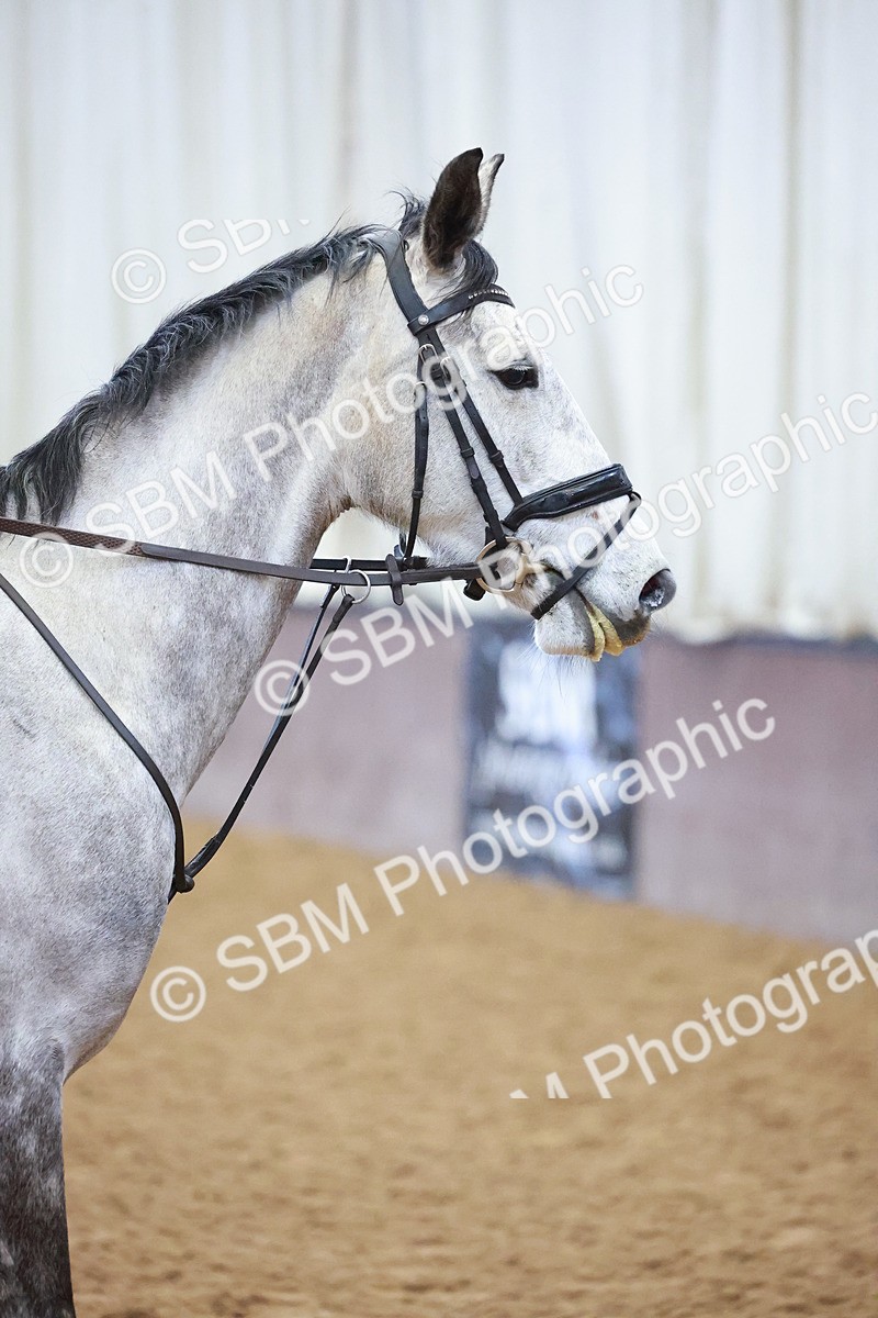 SBM_000299 - Class 1 - Clear Round