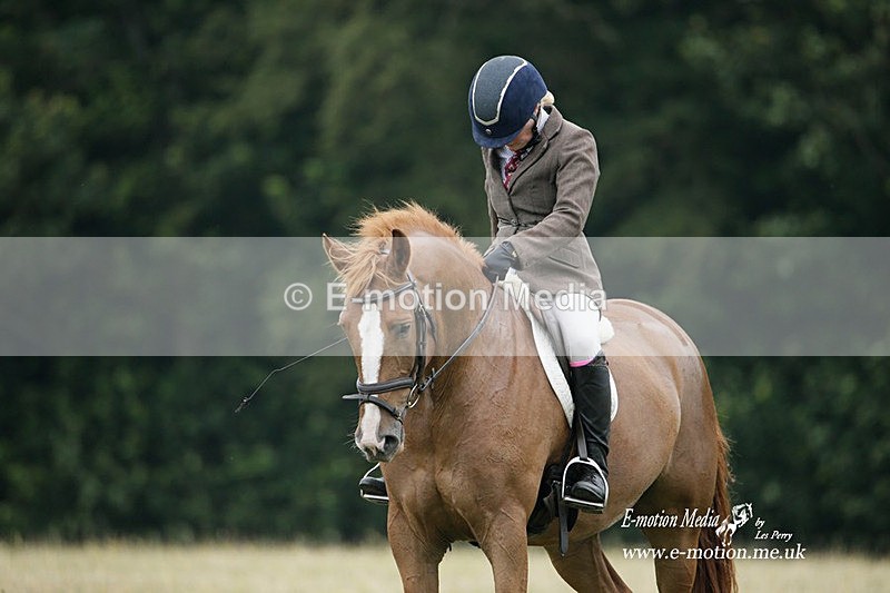 BVRC 030721 15 - Bourne Valley Riding Club Dressage 03/07/21