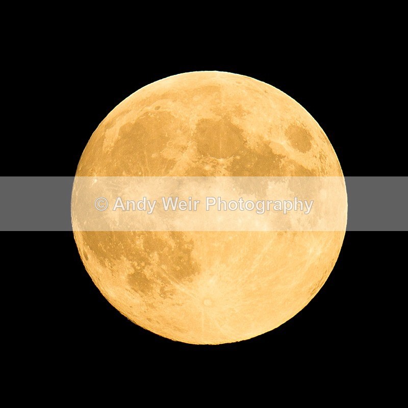 20110714-_MG_6240 - Miscellaneous Photographs