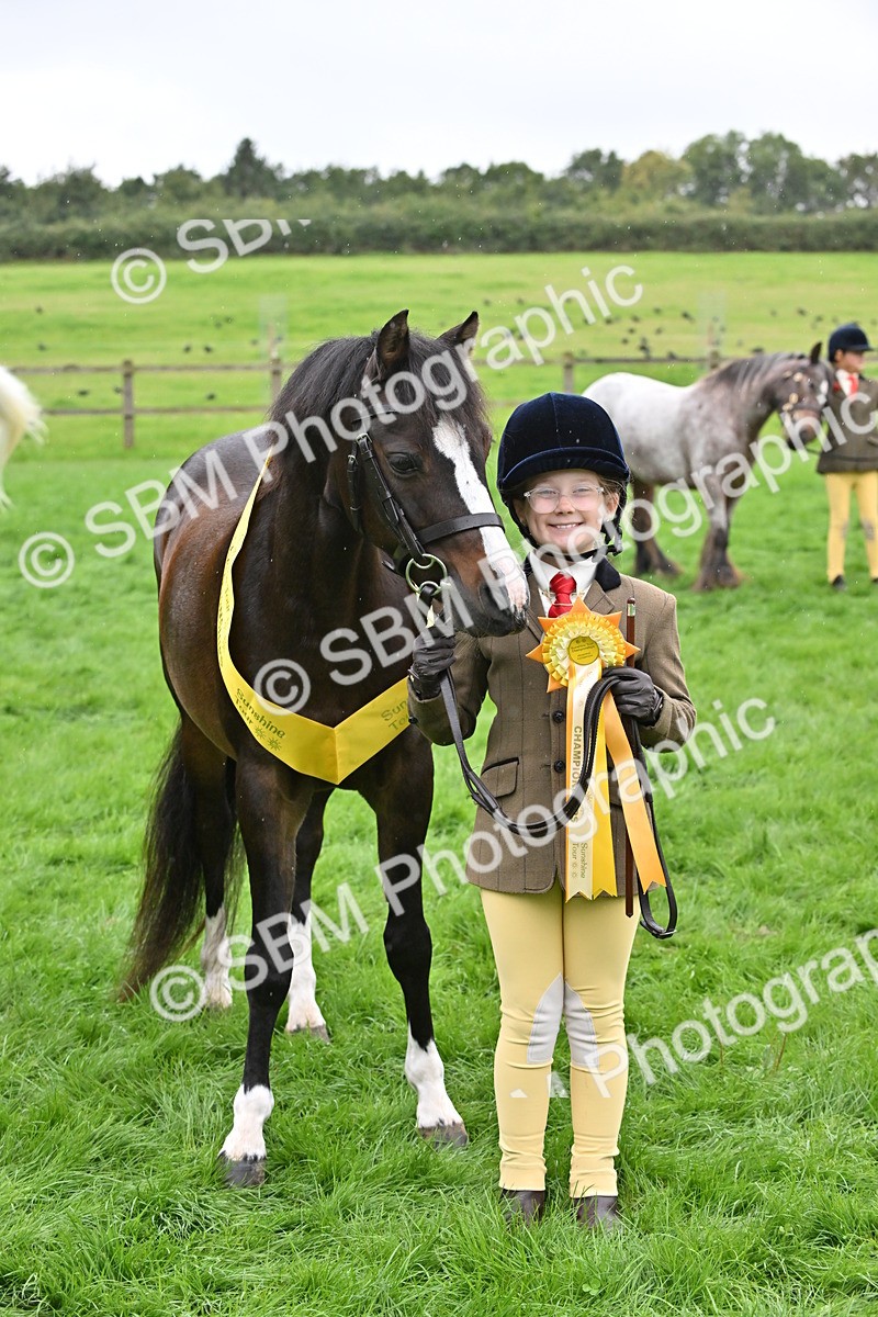 SBM_68620 - S42 - Junior Handler 9-12 Years