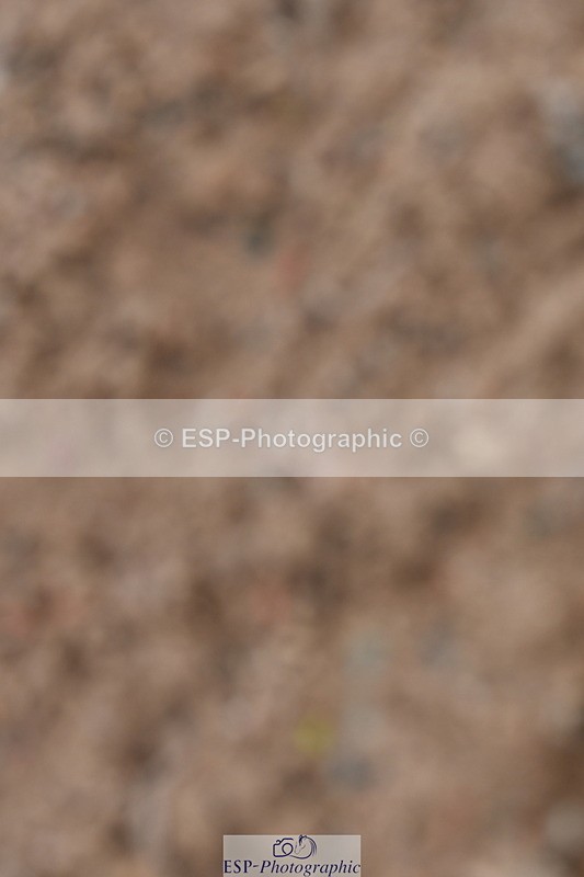 231104A-114037-00270 - Cls 7 Elementary 43