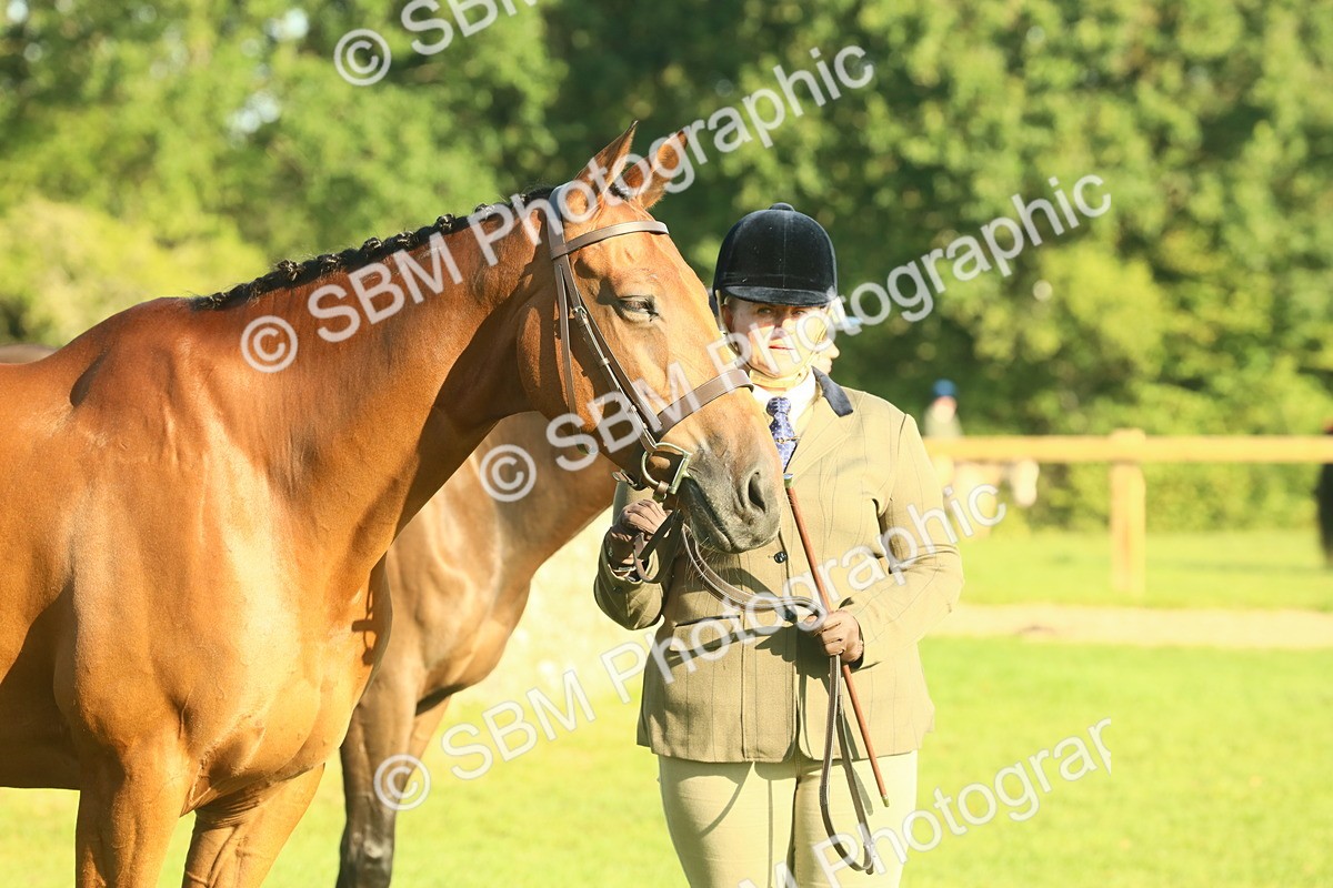 SBM_58613 - S37 - Starters In Hand Showing