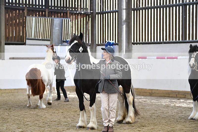 WJ5_5109 - Class 7 In hand coloured / odd coloured