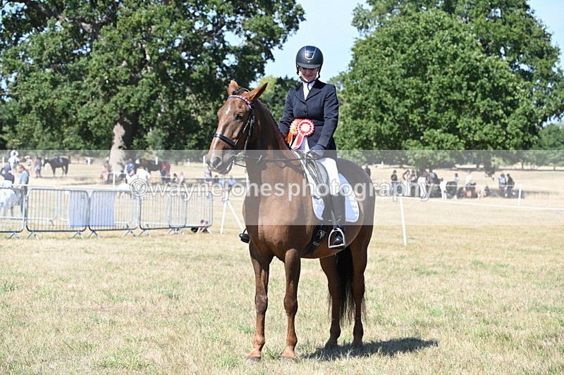 WJ6_9055 - Class 38 Ridden Riding Horse/Pony