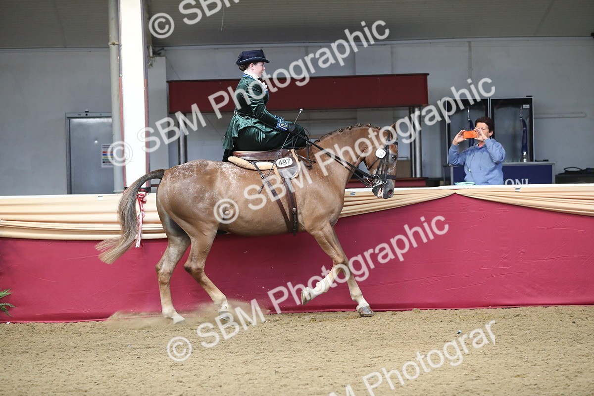 SBM_11557 - Class 105 Ridden Costume- Side Saddle