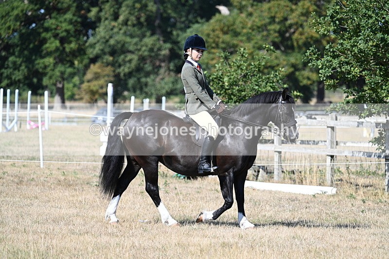 WJ7_3429 - Class 9 Mountain & Moorland Ridden
