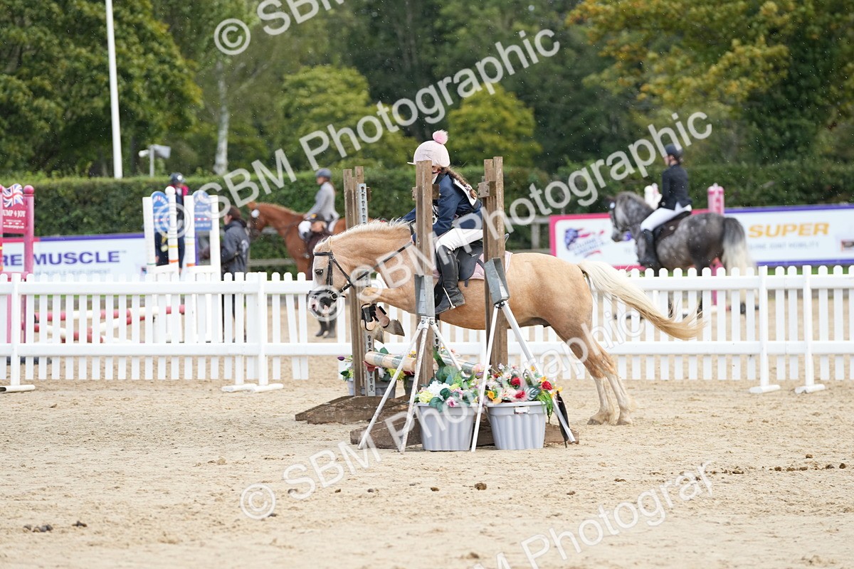 SBM_21149 - J49 - Open 50cm