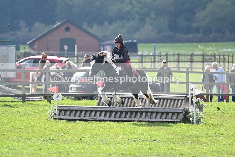 WJ7_3705 - 40cm Time 10:26 to 10:42