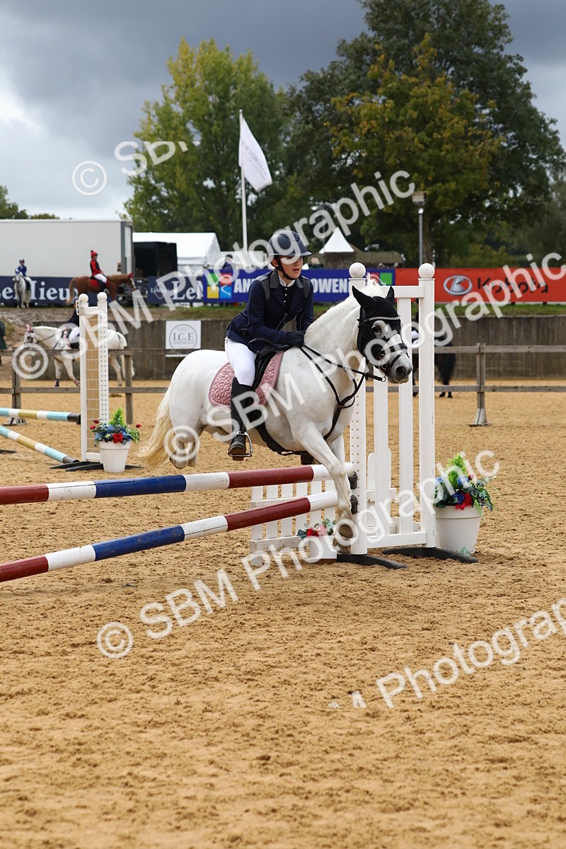 SBM_62373 - J64 - Junior Pony 60cm Championship