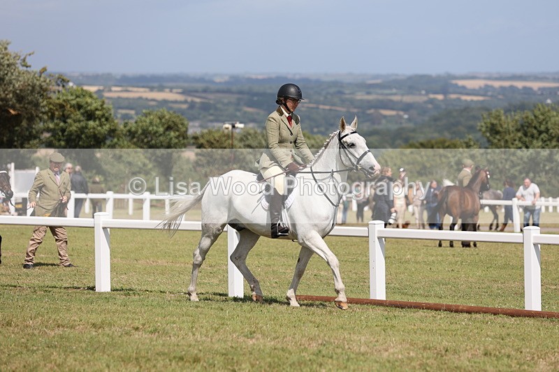 JPP_2249 - Class 19: Working Hunter 60cm