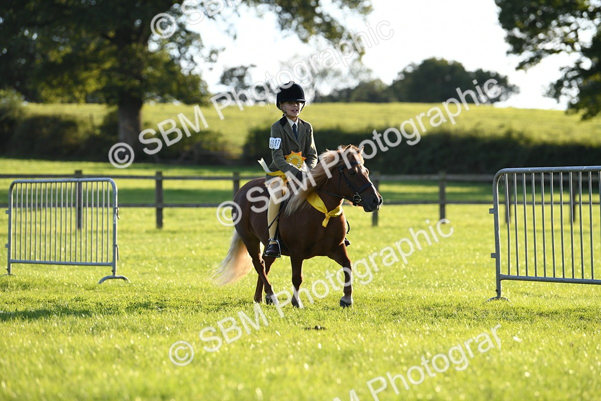 SBM_54196 - S23 - 1st Ridden Mountain & Moorland Pony