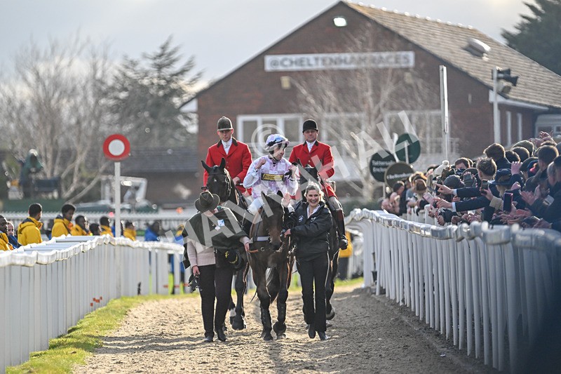 110325-Race 5-Golden Ace-3240 - 11th March