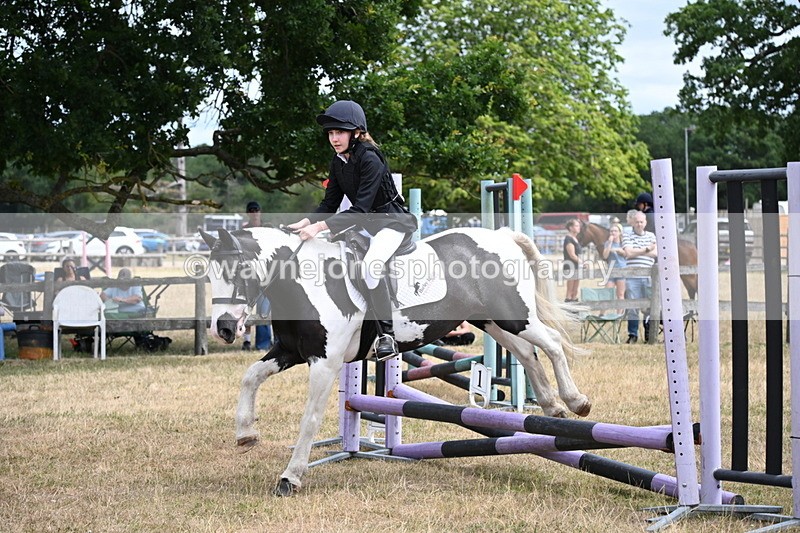 WJ6_5280 - Class 12 Minimus Jumping 45cm