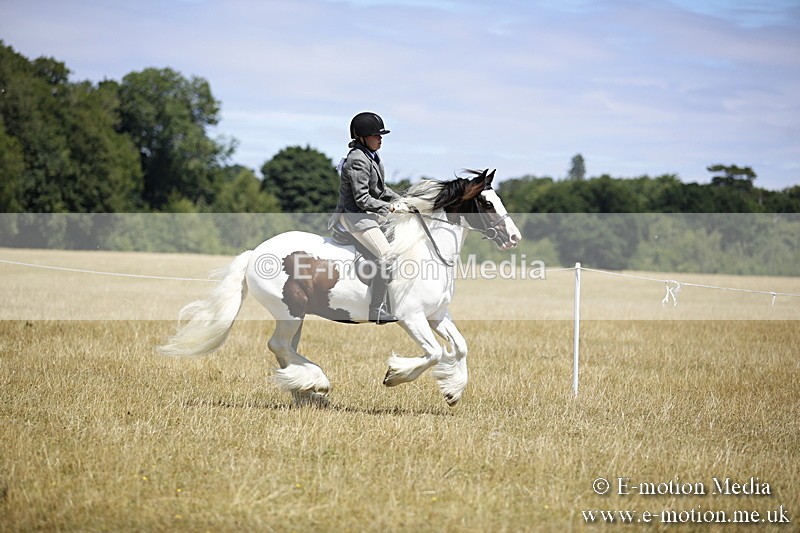 _C7A9875 - BVRC Show 2018 Ring 1