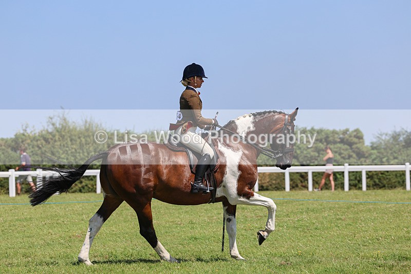 IMG_2452 - Class 38: Veteran Ridden