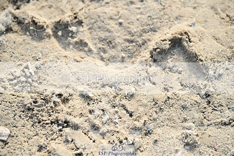 251004A-151204-01723 - Classes 8 & 9 70cm