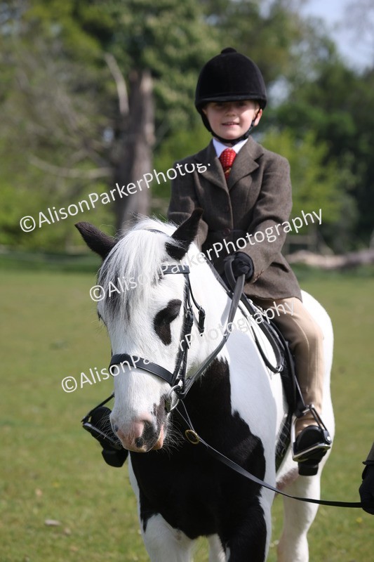 20260426-2488 - Class 31 - Leading Rein
