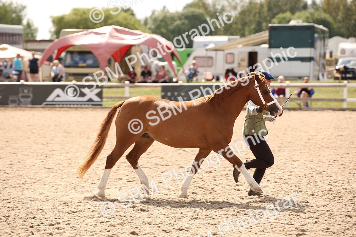 SBM_04603 - Class 20 IH Veteran