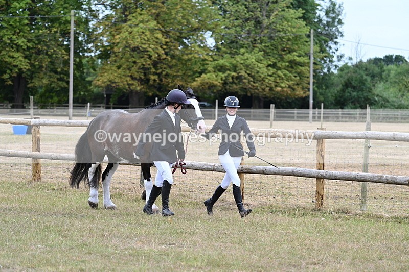 WJ7_8916 - Class 4a Prettiest Mare 14.2hh and over