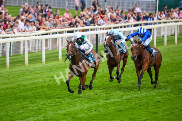 280723-Race 5-Midnight Mile-0529 - Race 5 7.15pm British EBF 40th Anniversary Lyric Fillies' Stakes