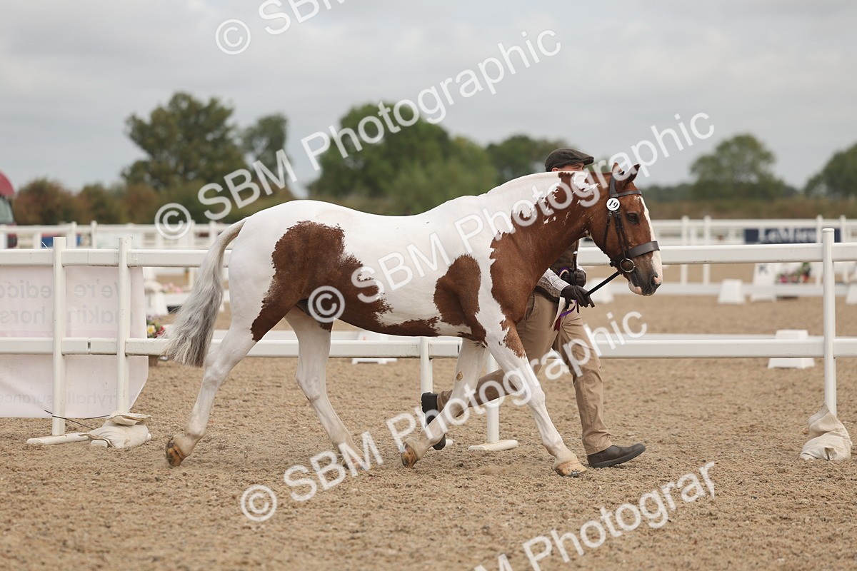 SBM_02161 - Class 15 - IH Coloured