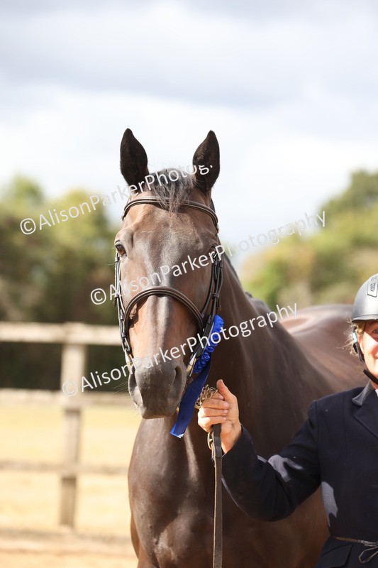 20260831-1985 - Class 5 - Retraining of Racehorses