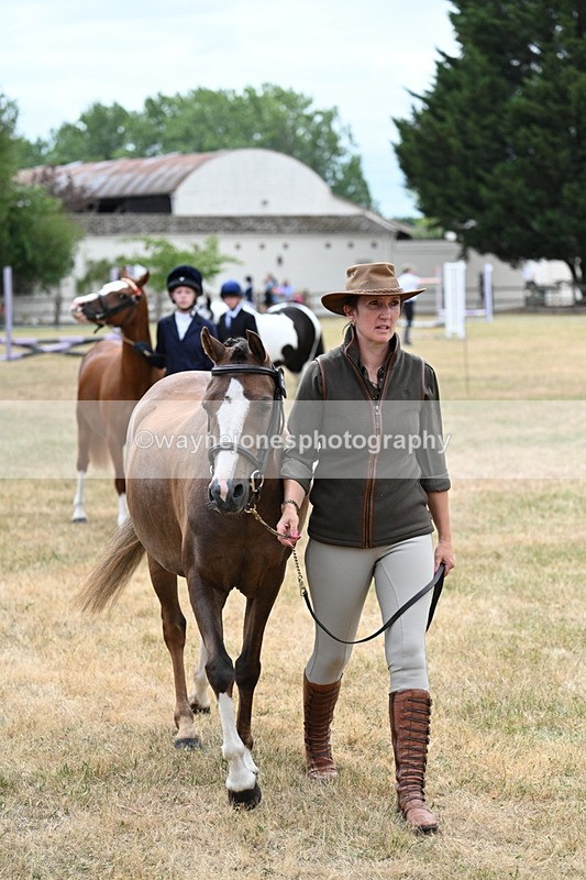 WJ7_1411 - Class 4 Prettiest Mare up to 14.2hh in hand