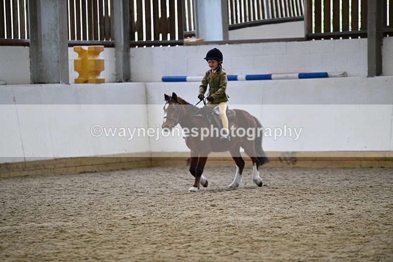 WJ5_6994 - Class 10 Childs Pony