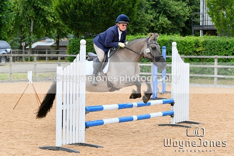 WJ5_6913 - Edited examples